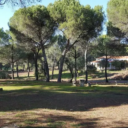 Campingplads Camping Los Villares - Sierra De
